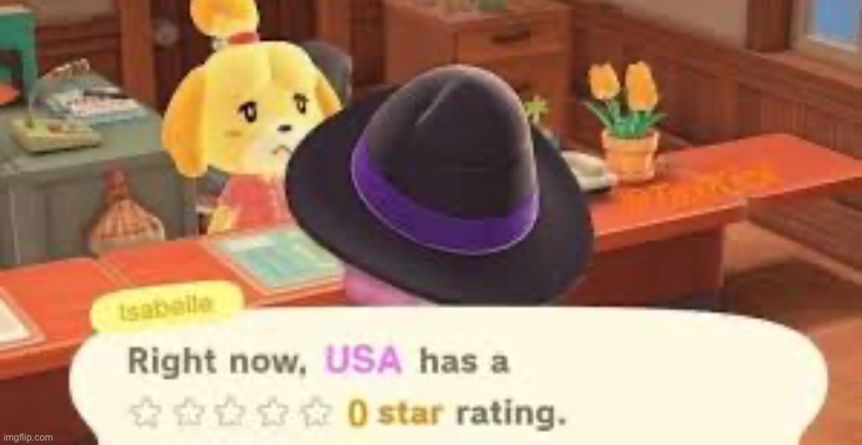 USA | image tagged in usa,animal crossing,funny memes,memes,funny,zero | made w/ Imgflip meme maker