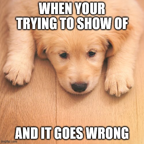 what we all feel | WHEN YOUR TRYING TO SHOW OF; AND IT GOES WRONG | image tagged in bad pun dog | made w/ Imgflip meme maker