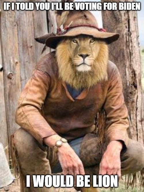 Hey Joe | IF I TOLD YOU I'LL BE VOTING FOR BIDEN; I WOULD BE LION | image tagged in biden,cats,memes,fun,funny,2020 | made w/ Imgflip meme maker