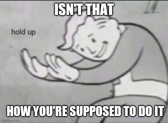 Fallout Hold Up | ISN'T THAT HOW YOU'RE SUPPOSED TO DO IT | image tagged in fallout hold up | made w/ Imgflip meme maker