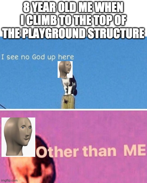 King of the world! | 8 YEAR OLD ME WHEN I CLIMB TO THE TOP OF THE PLAYGROUND STRUCTURE | image tagged in hail pole cat | made w/ Imgflip meme maker