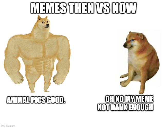 Memes then VS now | MEMES THEN VS NOW; OH NO MY MEME NOT DANK ENOUGH; ANIMAL PICS GOOD. | image tagged in swole doge vs cheems | made w/ Imgflip meme maker