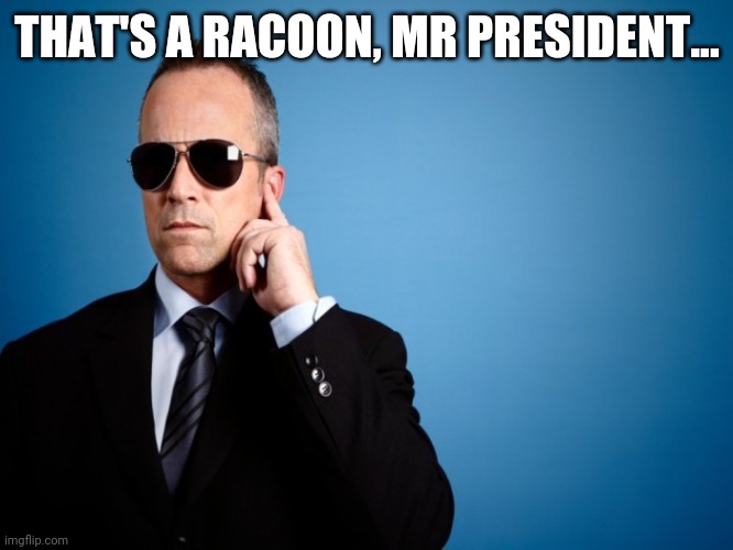 Secret Service | THAT'S A RACOON, MR PRESIDENT... | image tagged in secret service | made w/ Imgflip meme maker