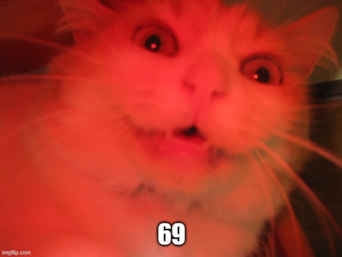 Demon cat | 69 | image tagged in demon cat | made w/ Imgflip meme maker