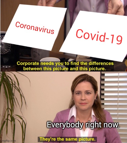 Covid meme | Coronavirus; Covid-19; Everybody right now. | image tagged in memes,they're the same picture,coronavirus,covid-19 | made w/ Imgflip meme maker