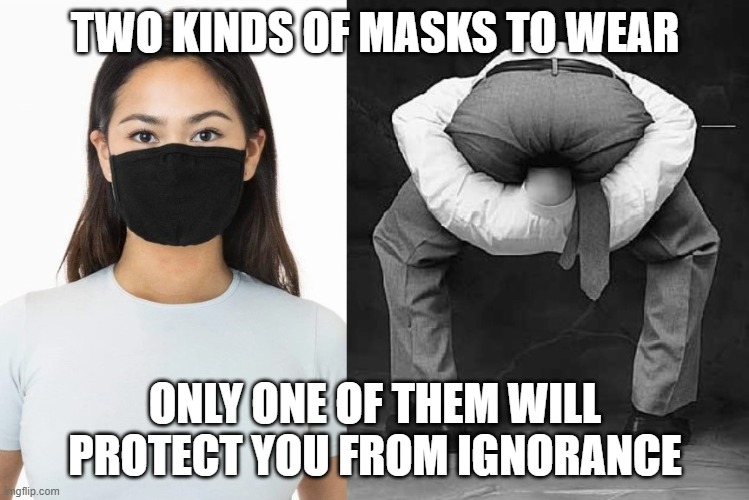 masks | TWO KINDS OF MASKS TO WEAR; ONLY ONE OF THEM WILL PROTECT YOU FROM IGNORANCE | image tagged in masks,coronavirus,funny memes | made w/ Imgflip meme maker