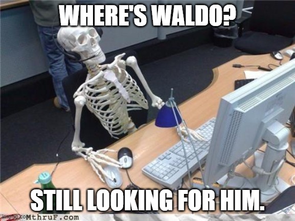 Waiting skeleton | WHERE'S WALDO? STILL LOOKING FOR HIM. | image tagged in waiting skeleton | made w/ Imgflip meme maker