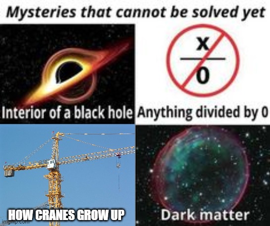 the unexplainables | HOW CRANES GROW UP | image tagged in mysteries that cannot be solved yet | made w/ Imgflip meme maker