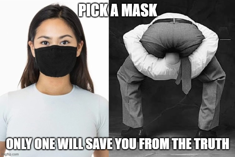 masks | PICK A MASK; ONLY ONE WILL SAVE YOU FROM THE TRUTH | image tagged in masks,coronavirus,memes | made w/ Imgflip meme maker