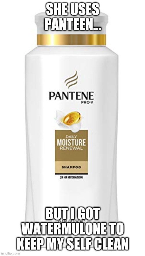 Watermulone | SHE USES PANTEEN... BUT I GOT WATERMULONE TO KEEP MY SELF CLEAN | image tagged in pantene | made w/ Imgflip meme maker