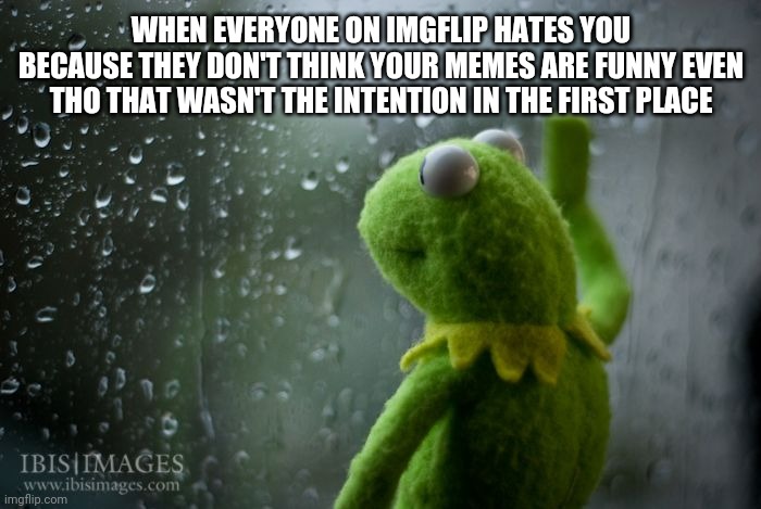 kermit window | WHEN EVERYONE ON IMGFLIP HATES YOU BECAUSE THEY DON'T THINK YOUR MEMES ARE FUNNY EVEN THO THAT WASN'T THE INTENTION IN THE FIRST PLACE | image tagged in kermit window | made w/ Imgflip meme maker