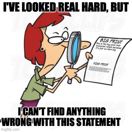 can't find anything | I'VE LOOKED REAL HARD, BUT; I CAN'T FIND ANYTHING WRONG WITH THIS STATEMENT | image tagged in nothing wrong,looked hard,can't find | made w/ Imgflip meme maker