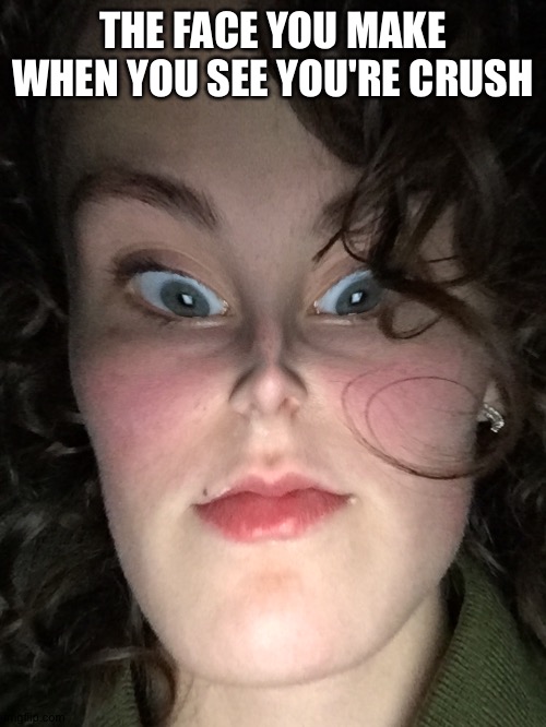 THE FACE YOU MAKE WHEN YOU SEE YOU'RE CRUSH | image tagged in funny | made w/ Imgflip meme maker