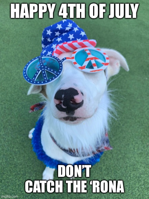 Happy 4th of July | HAPPY 4TH OF JULY; DON’T CATCH THE ‘RONA | image tagged in 4th of july,corona virus,cute puppies | made w/ Imgflip meme maker