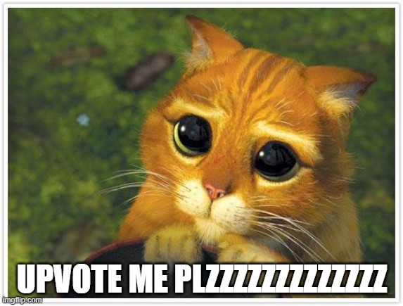 Please? | UPVOTE ME PLZZZZZZZZZZZZZ | image tagged in memes,shrek cat,upvotes,upvote,upvote begging,begging for upvotes | made w/ Imgflip meme maker