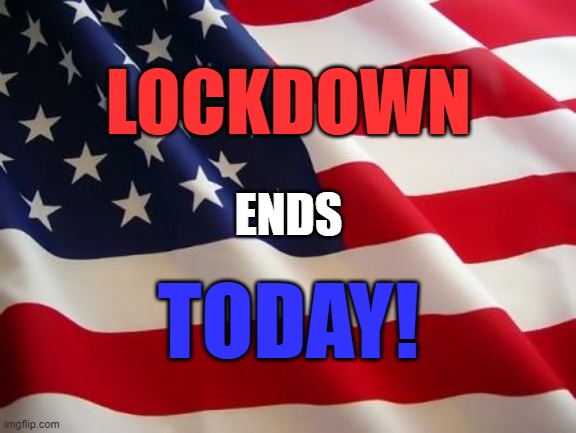 They tried to tear us apart... but we are the UNITED States of America! | LOCKDOWN; ENDS; TODAY! | image tagged in american flag | made w/ Imgflip meme maker