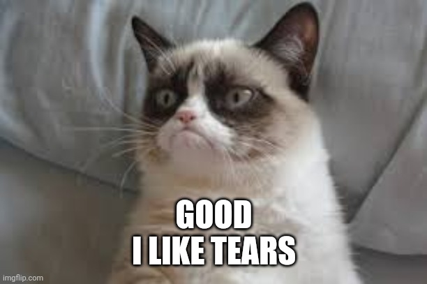 Grumpy cat | GOOD
I LIKE TEARS | image tagged in grumpy cat | made w/ Imgflip meme maker