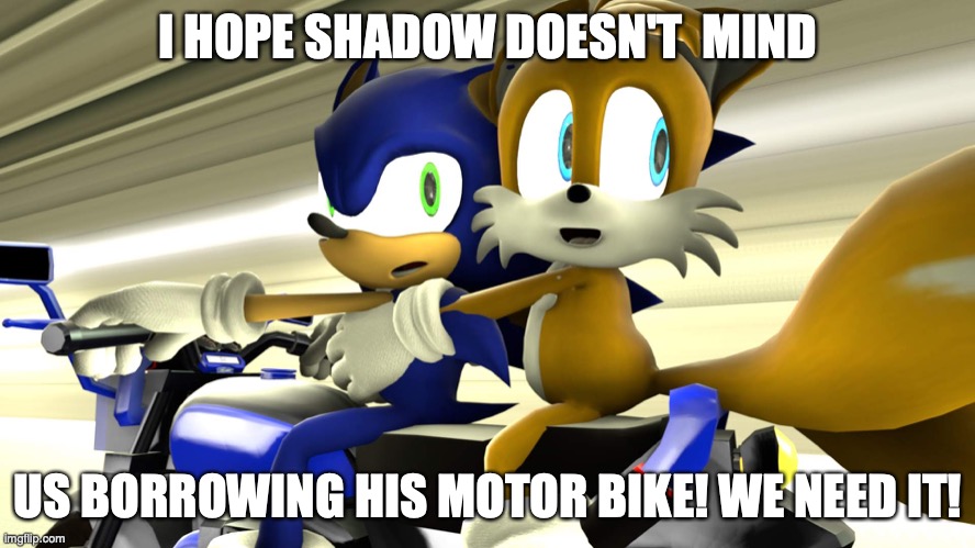 jhhhhhhhsedrftgyhuj | I HOPE SHADOW DOESN'T  MIND; US BORROWING HIS MOTOR BIKE! WE NEED IT! | image tagged in motorbike,cats | made w/ Imgflip meme maker