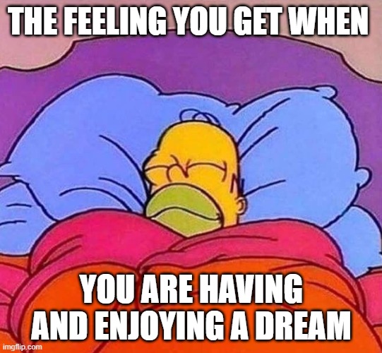 when you're enjoying a dream | THE FEELING YOU GET WHEN; YOU ARE HAVING AND ENJOYING A DREAM | image tagged in homer simpson sleeping peacefully | made w/ Imgflip meme maker
