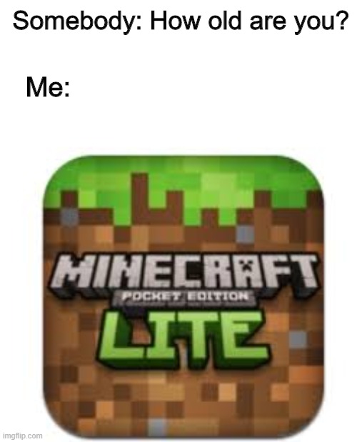 Does anybody remember this? | Somebody: How old are you? Me: | image tagged in minecraft,memes,funny | made w/ Imgflip meme maker