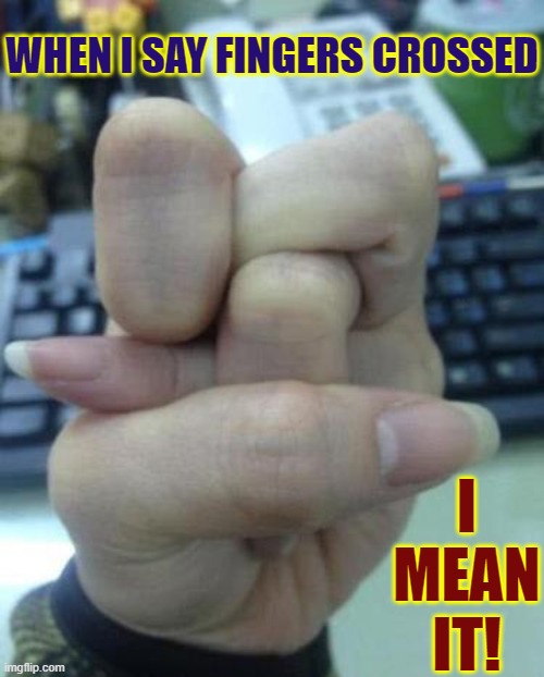 Doing that Crazy Hand-Jive | WHEN I SAY FINGERS CROSSED; I MEAN IT! | image tagged in vince vance,fingers crossed,hand,jive,memes,double jointed | made w/ Imgflip meme maker