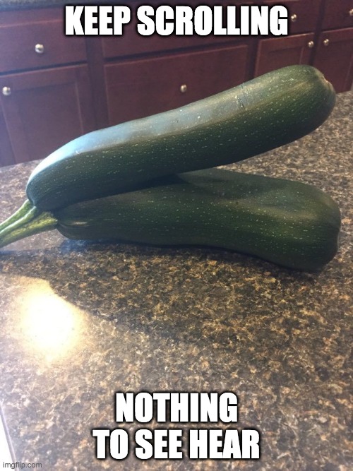 Zucchini | KEEP SCROLLING; NOTHING TO SEE HEAR | image tagged in veggietales | made w/ Imgflip meme maker