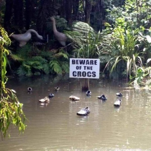 Crocs | image tagged in crocs,meme,fun,funny,animals,repost | made w/ Imgflip meme maker