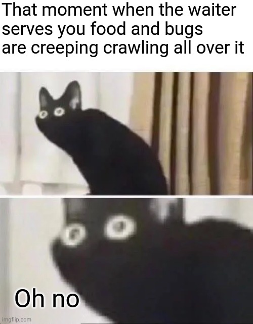 That moment when the waiter serves you food and bugs are creeping crawling all over it | That moment when the waiter serves you food and bugs are creeping crawling all over it; Oh no | image tagged in oh no black cat,oh no,funny,memes,meme,waiter | made w/ Imgflip meme maker