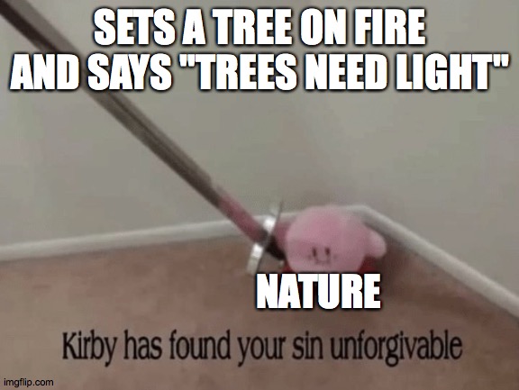 not sure were i was going with this... | SETS A TREE ON FIRE AND SAYS "TREES NEED LIGHT"; NATURE | image tagged in kirby has found your sin unforgivable,funny | made w/ Imgflip meme maker