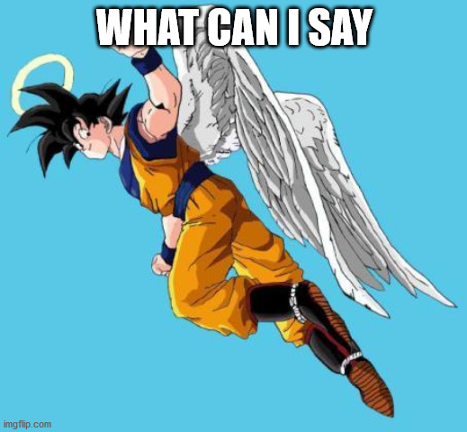 angel goku | WHAT CAN I SAY | image tagged in angel goku | made w/ Imgflip meme maker