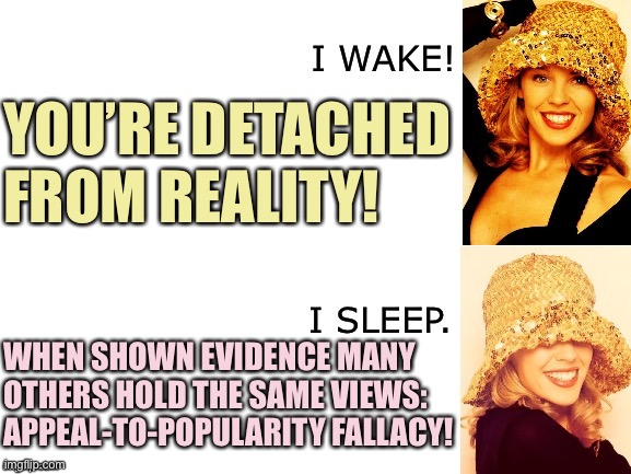 When they label you insane and then reject evidence to the contrary as a “logical fallacy.” | YOU’RE DETACHED FROM REALITY! WHEN SHOWN EVIDENCE MANY OTHERS HOLD THE SAME VIEWS: APPEAL-TO-POPULARITY FALLACY! | image tagged in kylie i wake/i sleep,logical fallacy referee,illogical,conservative logic,conservative hypocrisy,imgflip trolls | made w/ Imgflip meme maker