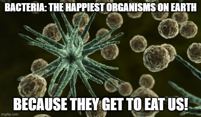 Our Doom | BACTERIA: THE HAPPIEST ORGANISMS ON EARTH; BECAUSE THEY GET TO EAT US! | image tagged in bacteria | made w/ Imgflip meme maker