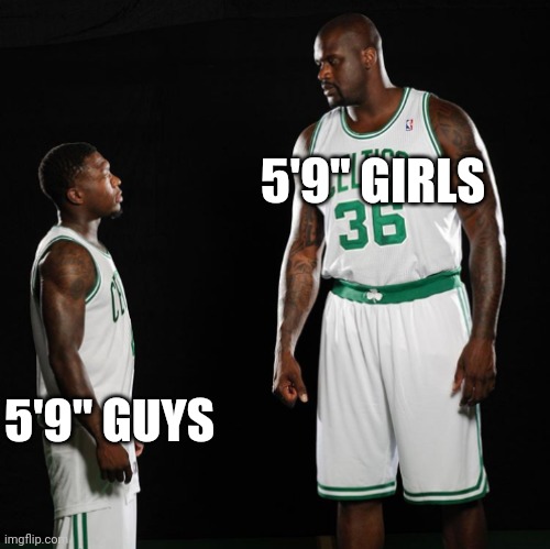 It really do be like that sometimes | 5'9" GIRLS; 5'9" GUYS | image tagged in basketball | made w/ Imgflip meme maker