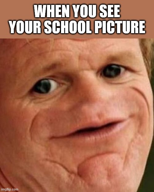 SOSIG | WHEN YOU SEE YOUR SCHOOL PICTURE | image tagged in sosig,i'm 15 so don't try it,who reads these | made w/ Imgflip meme maker