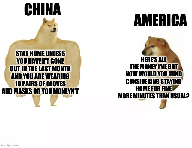 you moneyn't | AMERICA; CHINA; STAY HOME UNLESS YOU HAVEN'T GONE OUT IN THE LAST MONTH AND YOU ARE WEARING 10 PAIRS OF GLOVES AND MASKS OR YOU MONEYN'T; HERE'S ALL THE MONEY I'VE GOT NOW WOULD YOU MIND CONSIDERING STAYING HOME FOR FIVE MORE MINUTES THAN USUAL? | image tagged in buff doge vs cheems | made w/ Imgflip meme maker