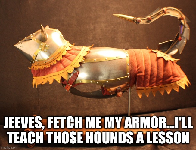 Jeeves, Fetch Me My Armor | JEEVES, FETCH ME MY ARMOR...I'LL TEACH THOSE HOUNDS A LESSON | image tagged in suits of armor,cat armor,cats versus dogs,medieval cats | made w/ Imgflip meme maker