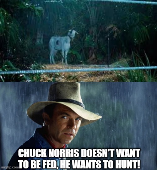 Hunt the Goat | CHUCK NORRIS DOESN'T WANT TO BE FED, HE WANTS TO HUNT! | image tagged in alan grant jurassic park rain | made w/ Imgflip meme maker