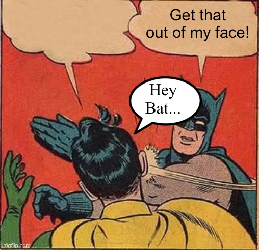 Batman Slapping Robin Meme | Hey Bat... Get that out of my face! | image tagged in memes,batman slapping robin | made w/ Imgflip meme maker