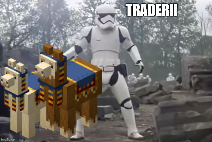 TRAITOR |  TRADER!! | image tagged in traitor,minecraft,trader,star wars | made w/ Imgflip meme maker