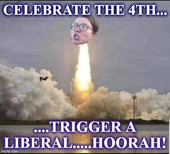 celebrate | CELEBRATE THE 4TH... ....TRIGGER A LIBERAL.....HOORAH! | image tagged in celebrate | made w/ Imgflip meme maker