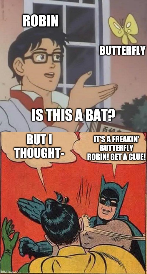 Crossover | ROBIN; BUTTERFLY; IS THIS A BAT? BUT I THOUGHT-; IT'S A FREAKIN' BUTTERFLY ROBIN! GET A CLUE! | image tagged in memes,batman slapping robin,is this a pigeon | made w/ Imgflip meme maker