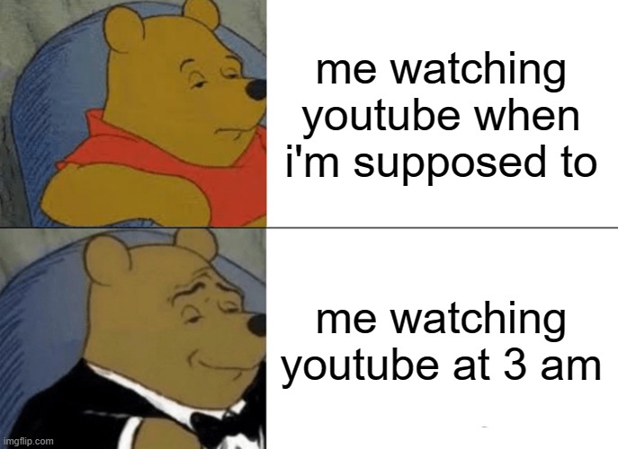 Just me? Ok | me watching youtube when i'm supposed to; me watching youtube at 3 am | image tagged in memes,tuxedo winnie the pooh | made w/ Imgflip meme maker