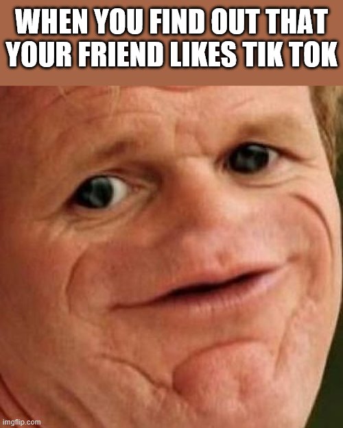 SOSIG | WHEN YOU FIND OUT THAT YOUR FRIEND LIKES TIK TOK | image tagged in sosig,i'm 15 so don't try it,who reads these | made w/ Imgflip meme maker
