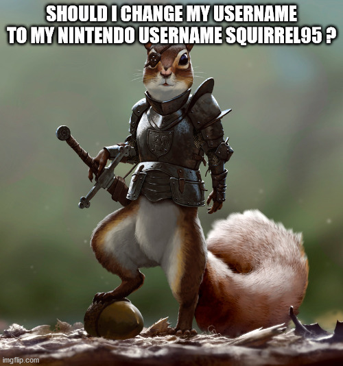 Ready Squirrel | SHOULD I CHANGE MY USERNAME TO MY NINTENDO USERNAME SQUIRREL95 ? | image tagged in ready squirrel | made w/ Imgflip meme maker