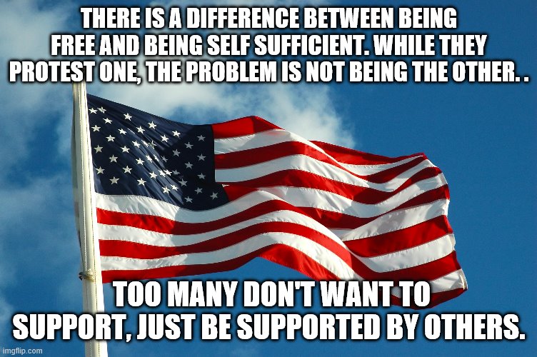 freedom | THERE IS A DIFFERENCE BETWEEN BEING FREE AND BEING SELF SUFFICIENT. WHILE THEY PROTEST ONE, THE PROBLEM IS NOT BEING THE OTHER. . TOO MANY DON'T WANT TO SUPPORT, JUST BE SUPPORTED BY OTHERS. | image tagged in freedom,flag,self sufficient | made w/ Imgflip meme maker