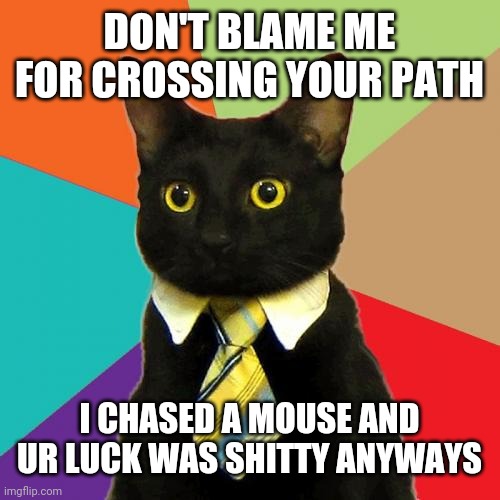 Business Cat | DON'T BLAME ME FOR CROSSING YOUR PATH; I CHASED A MOUSE AND UR LUCK WAS SHITTY ANYWAYS | image tagged in memes,business cat | made w/ Imgflip meme maker