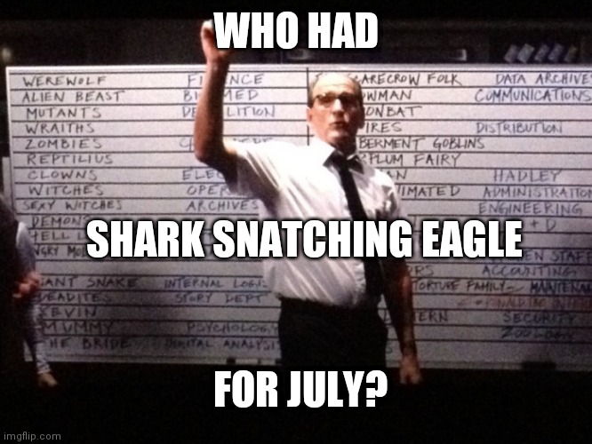 Who had X for Y? | WHO HAD; SHARK SNATCHING EAGLE; FOR JULY? | image tagged in who had x for y | made w/ Imgflip meme maker