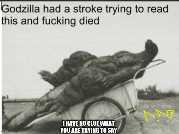 Godzilla | I HAVE NO CLUE WHAT YOU ARE TRYING TO SAY | image tagged in godzilla | made w/ Imgflip meme maker