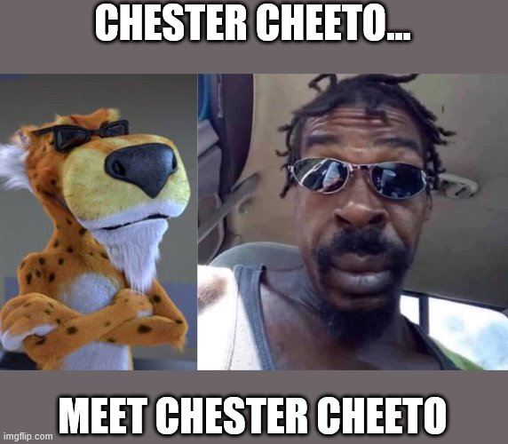 CHESTER CHEETO | CHESTER CHEETO... MEET CHESTER CHEETO | image tagged in icons | made w/ Imgflip meme maker