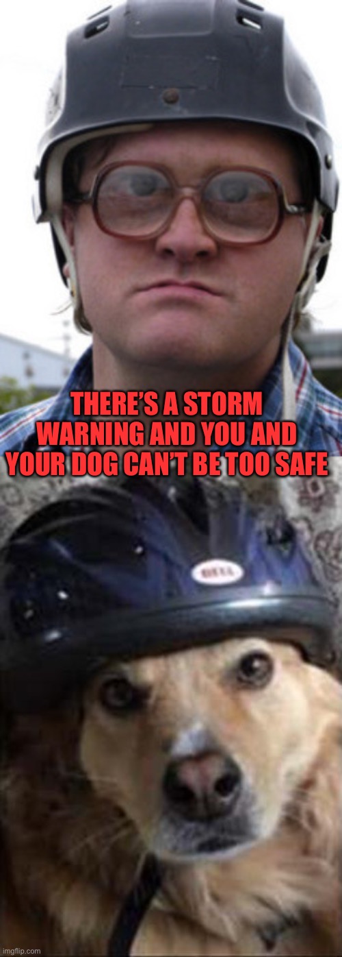 THERE’S A STORM WARNING AND YOU AND YOUR DOG CAN’T BE TOO SAFE | image tagged in bubbles trailer park boys,dogs,memes,funny | made w/ Imgflip meme maker